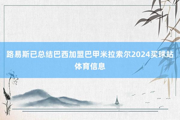 路易斯已总结巴西加盟巴甲米拉索尔2024买球站体育信息
